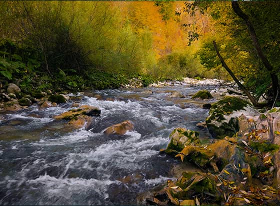 Flute and Nature cover
