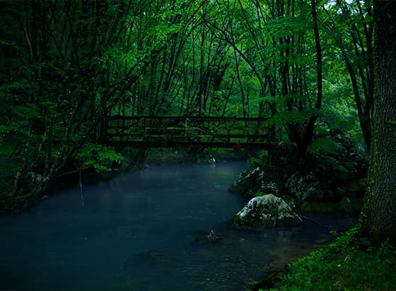Flute and Rain cover